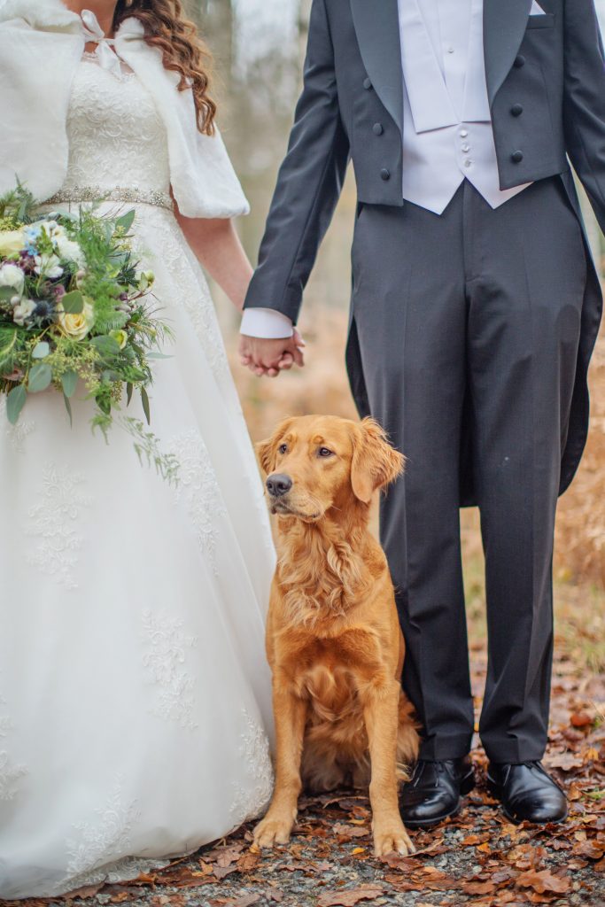 Carolina Ström - Bröllopsfotograf - Wedding